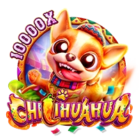 Facai : CHILIHUAHUA - PLACEBET138