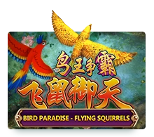 Bird Paradise - PLACEBET138
