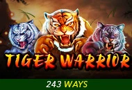 Spadegaming : Tiger Warrior - PLACEBET138